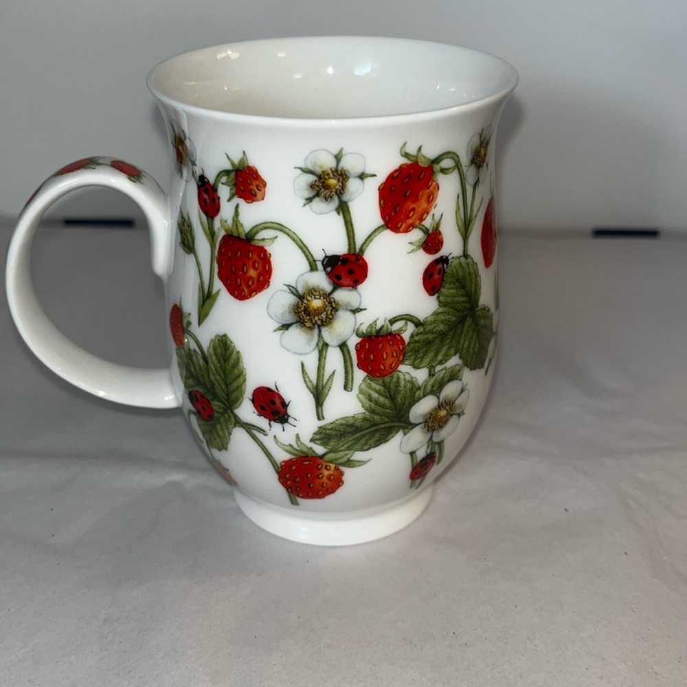 Dunoon Dovedale bone china mug.. design is by Jane Fern
